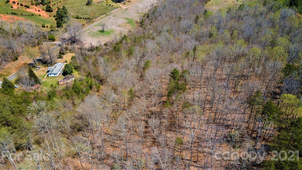 0 Martin Road Rutherfordton, NC 28139 - Photo 16 of 25 a view of a forest with a tree