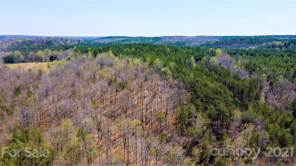 0 Martin Road Rutherfordton, NC 28139 - Photo 19 of 25 a view of a lush green forest with trees and some houses