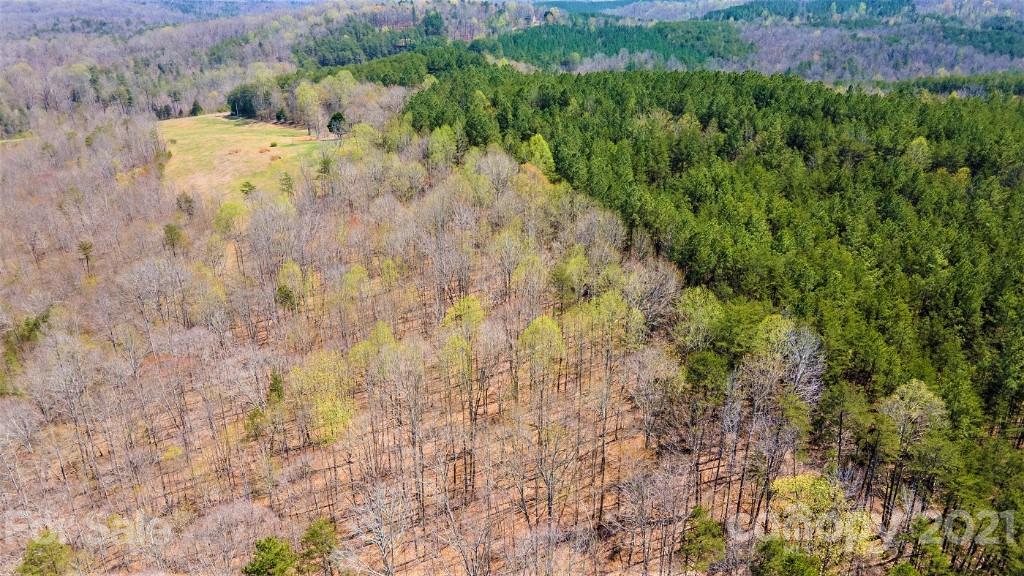 0 Martin Road Rutherfordton, NC 28139 - Photo 20 of 25 a view of a bunch of trees and bushes