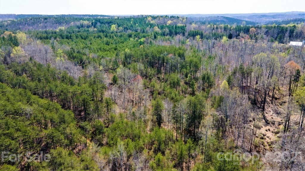 0 Martin Road Rutherfordton, NC 28139 - Photo 21 of 25 a view of a lush green forest with trees and some houses