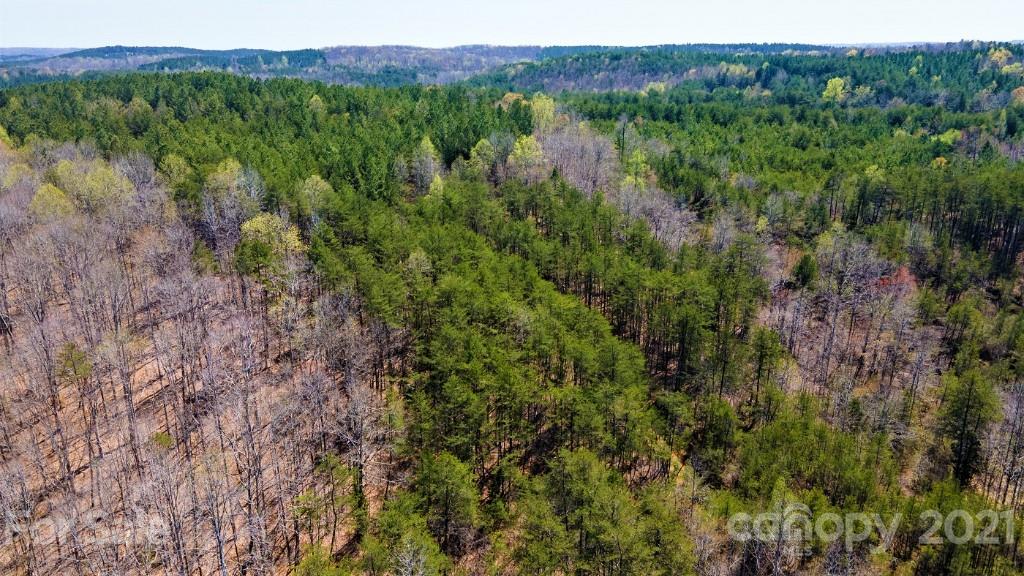 0 Martin Road Rutherfordton, NC 28139 - Photo 22 of 25 a view of a lush green forest with trees and some houses
