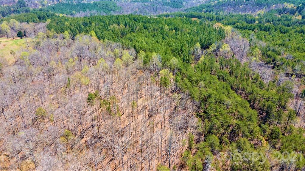 0 Martin Road Rutherfordton, NC 28139 - Photo 4 of 25 a view of a forest with a house