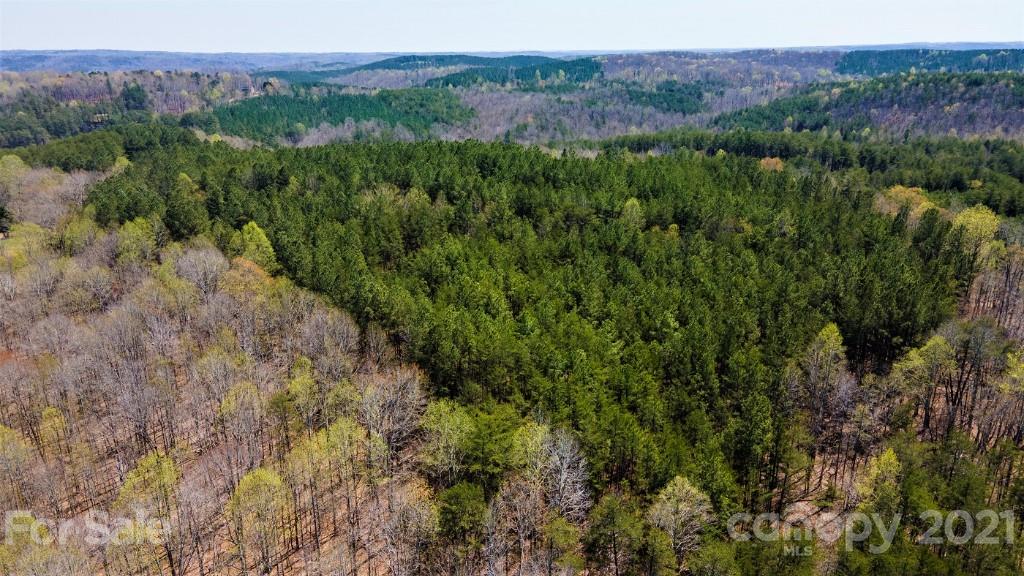 0 Martin Road Rutherfordton, NC 28139 - Photo 5 of 25 a view of a lush green forest with trees and some houses