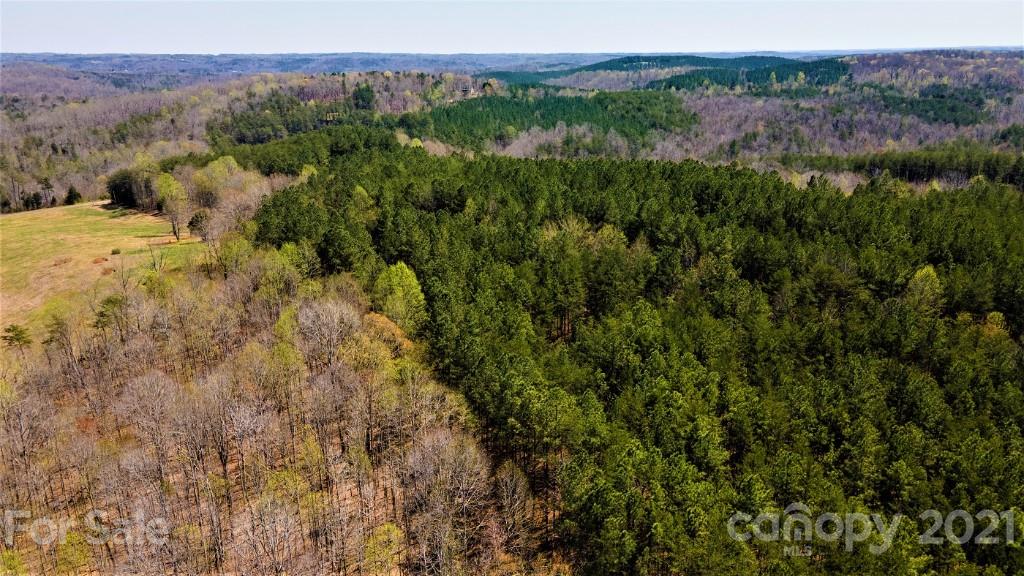 0 Martin Road Rutherfordton, NC 28139 - Photo 6 of 25 a view of a lush green forest with trees in the background