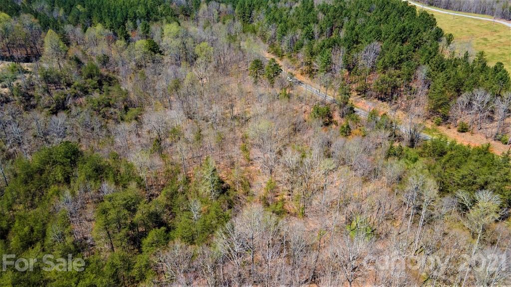 0 Martin Road Rutherfordton, NC 28139 - Photo 8 of 25 a view of a lush green forest with large trees