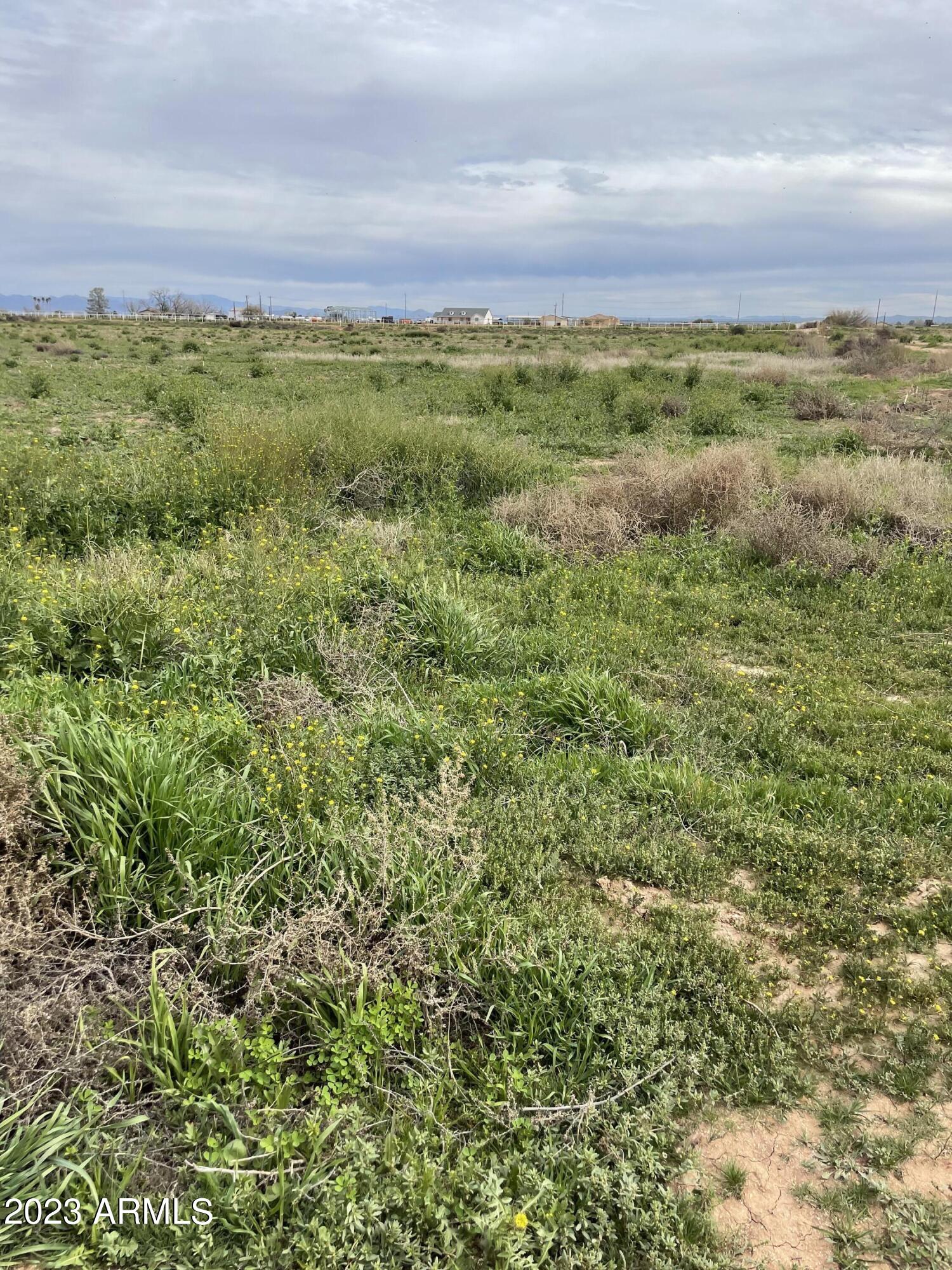 Lot A North Clemans Road, Unit A Coolidge, AZ 85128 - Photo 9 of 9 Lot Green