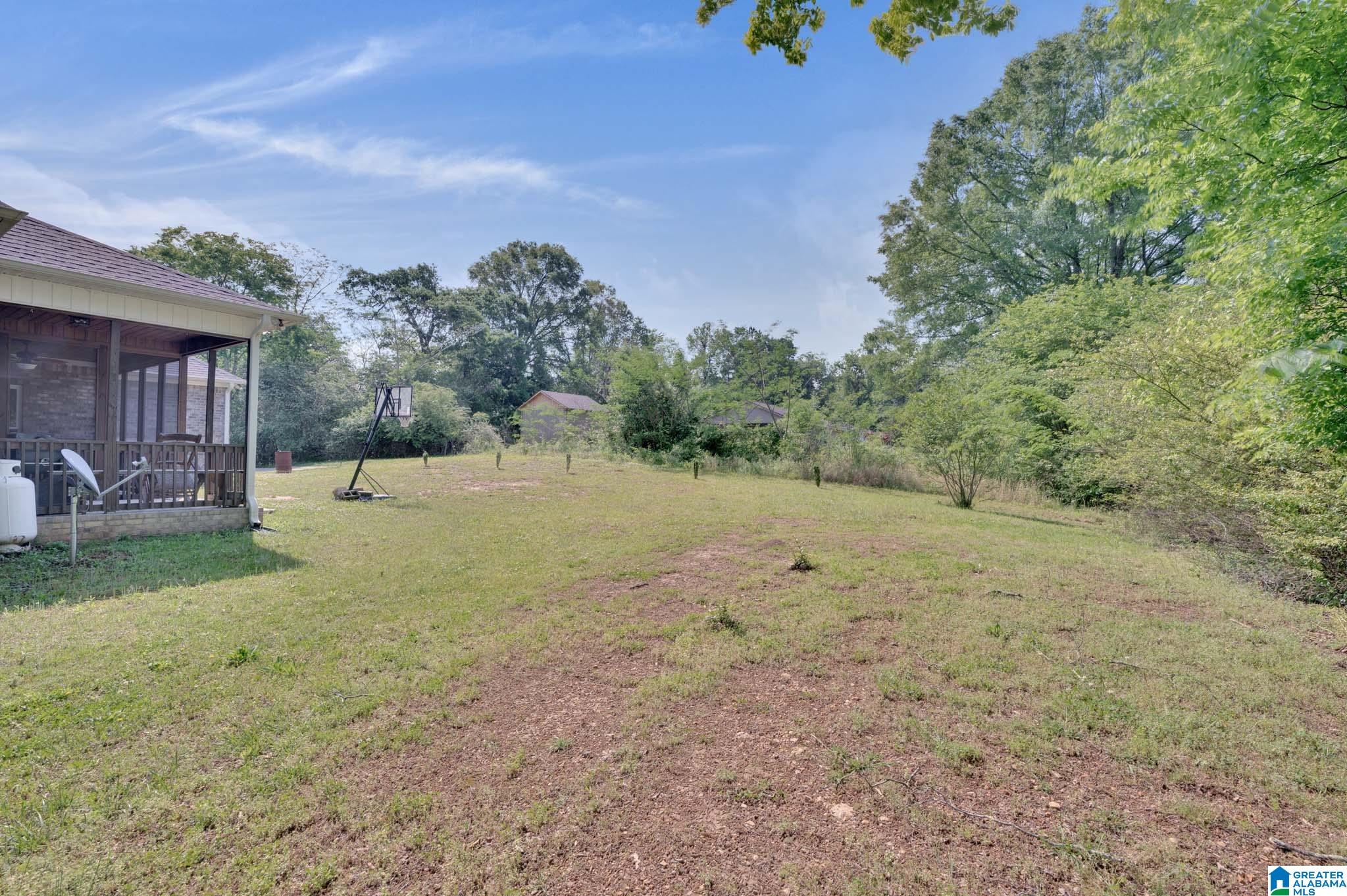 209 Hudson Avenue Oneonta, AL 35121 - Photo 9 of 29