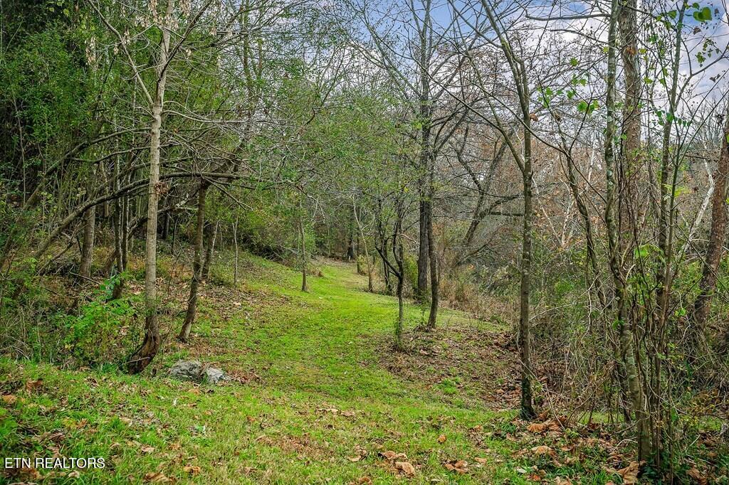 301 West Everett Street Sparta, TN 38583 - Photo 25 of 43 1000075670_34