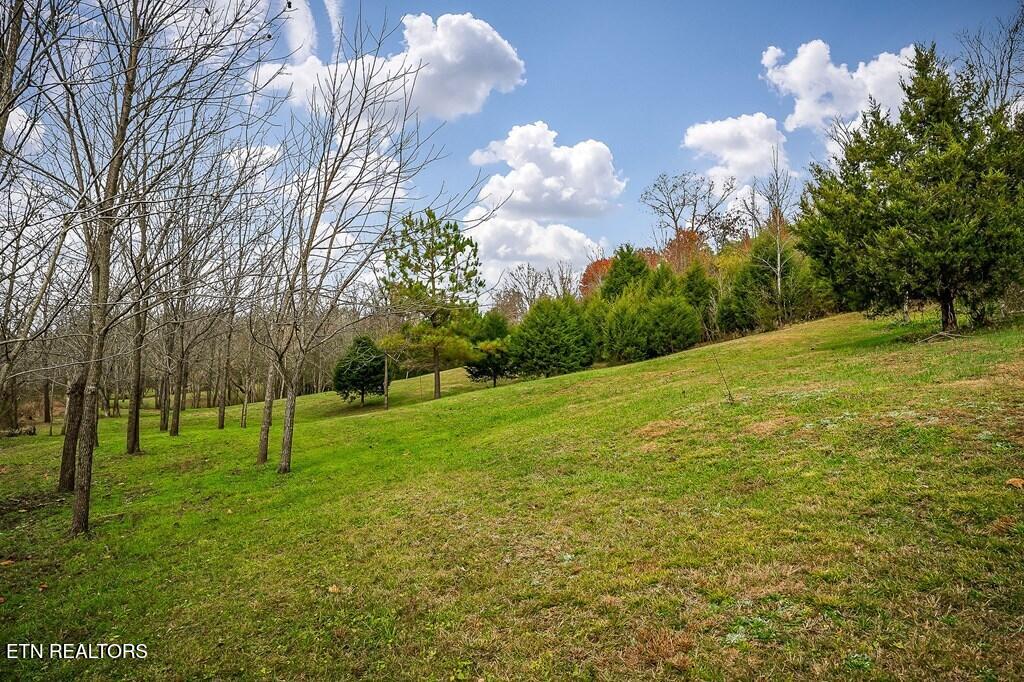 301 West Everett Street Sparta, TN 38583 - Photo 26 of 43 1000075670_36