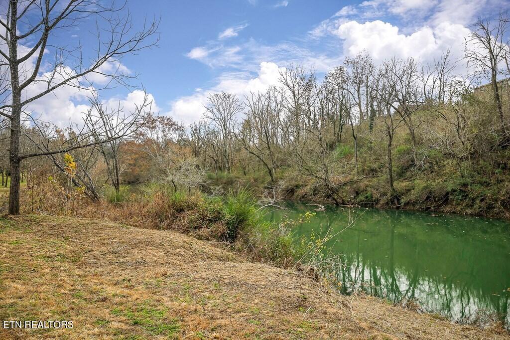 301 West Everett Street Sparta, TN 38583 - Photo 28 of 43 1000075670_33