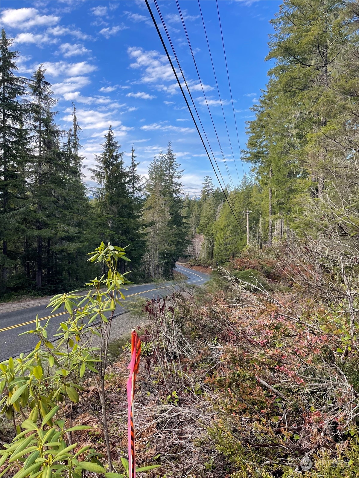 0 Northeast Dewatto Holly Road Tahuya, WA 98588 - Photo 4 of 9 a view of a backyard with swimming pool