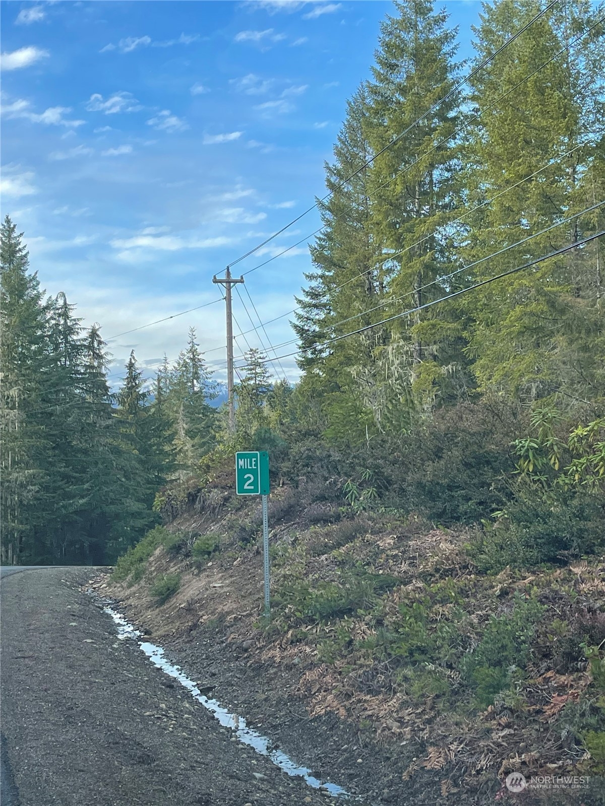 0 Northeast Dewatto Holly Road Tahuya, WA 98588 - Photo 9 of 9 a view of a forest with trees in the background