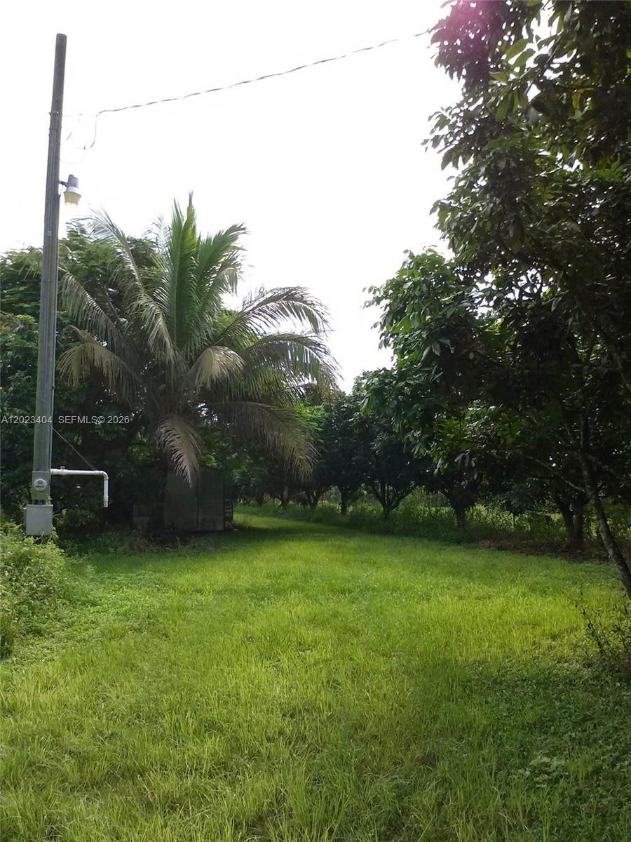 19675 Southwest 165th Avenue Miami, FL 33187 - Photo 18 of 22 a view of a green yard