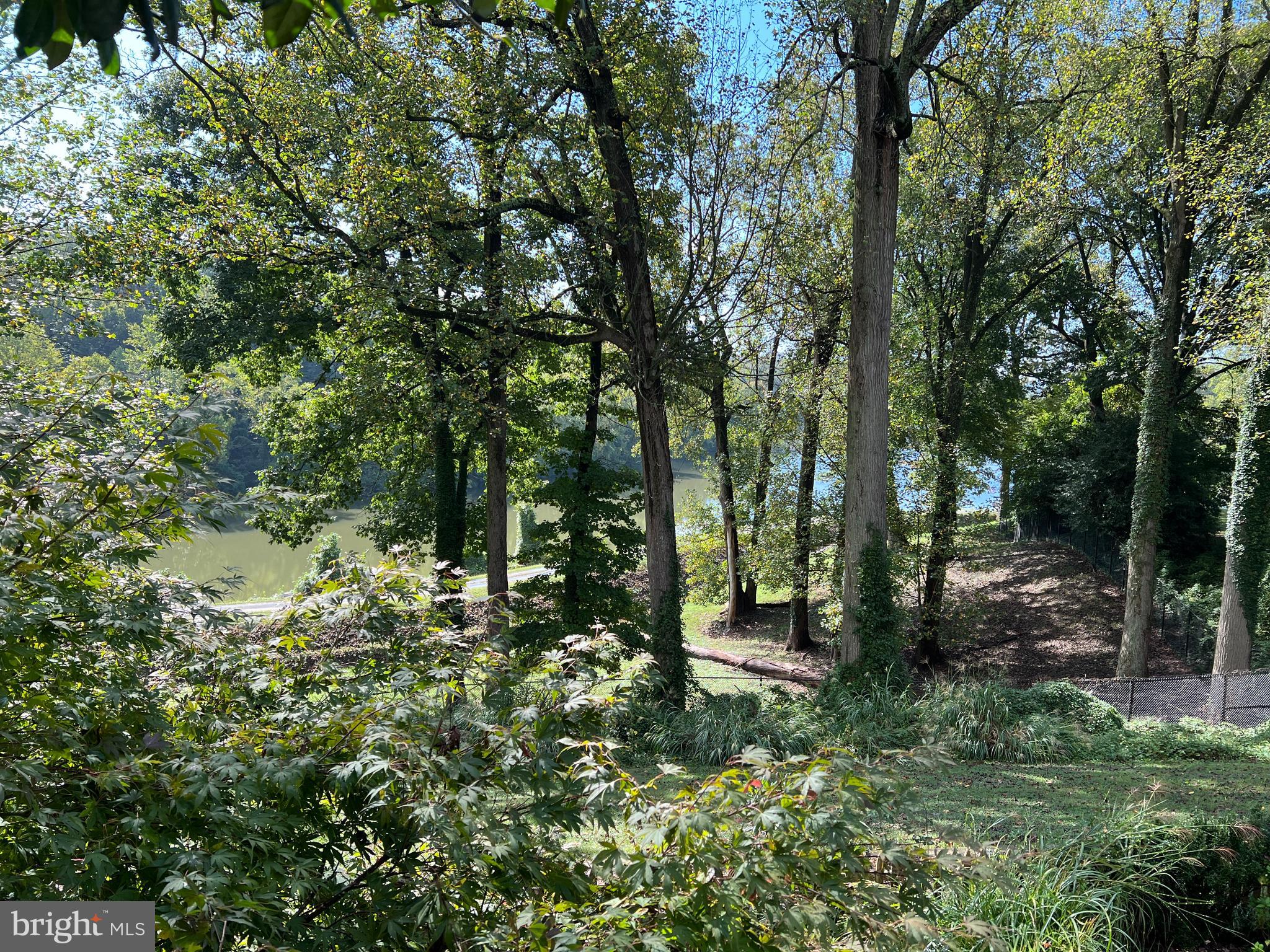 4405 Boxwood Road Bethesda, MD 20816 - Photo 4 of 58 View of Dalecarlia Reservoir from house
