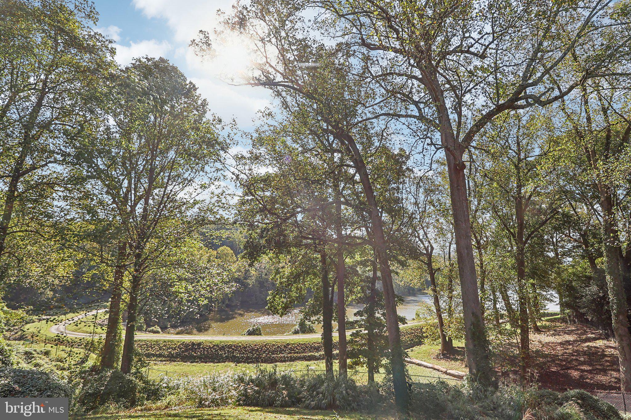 4405 Boxwood Road Bethesda, MD 20816 - Photo 47 of 58 Dalecarlia Reservoir