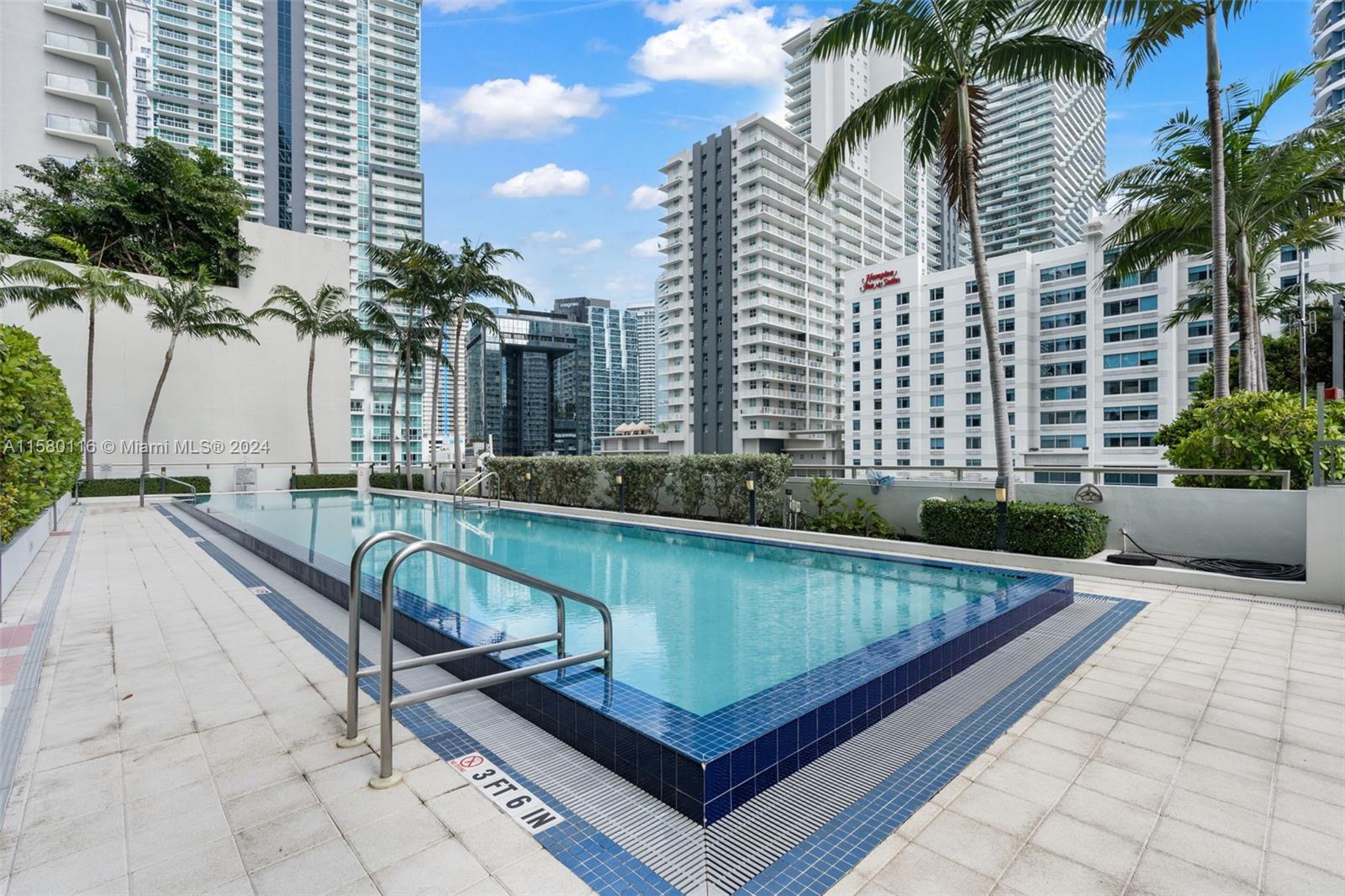 79 Southwest 12th Street, Unit 2204S Miami, FL 33130 - Photo 37 of 40 a view of swimming pool with outdoor seating and plants