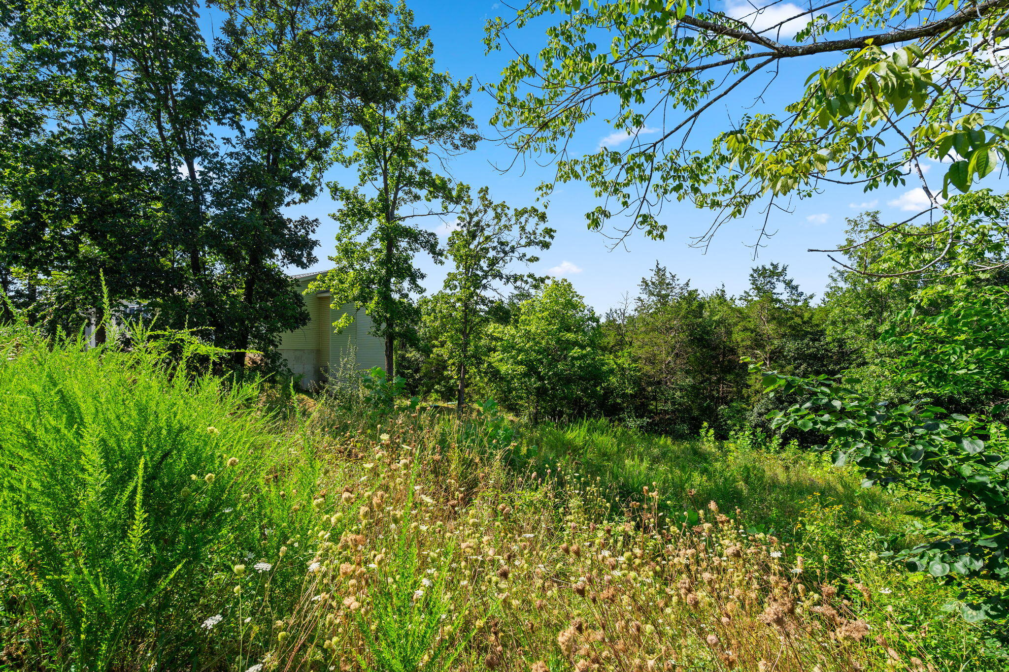 Lot 16 Clear Cove Landing Reeds Spring, MO 65737 - Photo 6 of 32 Lot-16-Clear-Cove-Dream-Lake-Lot