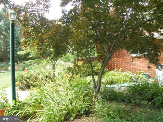 4040 Cliffvale Road Baltimore, MD 21236 - Photo 6 of 25 a view of a yard