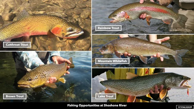 $135,000 | Stillwater Drive, Cody, WY 82414