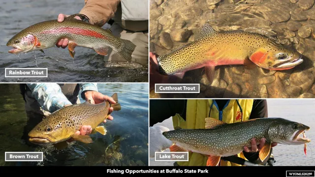 $135,000 | Stillwater Drive, Cody, WY 82414