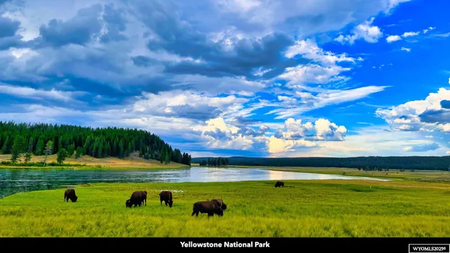 $135,000 | Stillwater Drive, Cody, WY 82414