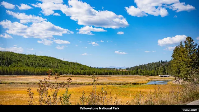 $135,000 | Stillwater Drive, Cody, WY 82414