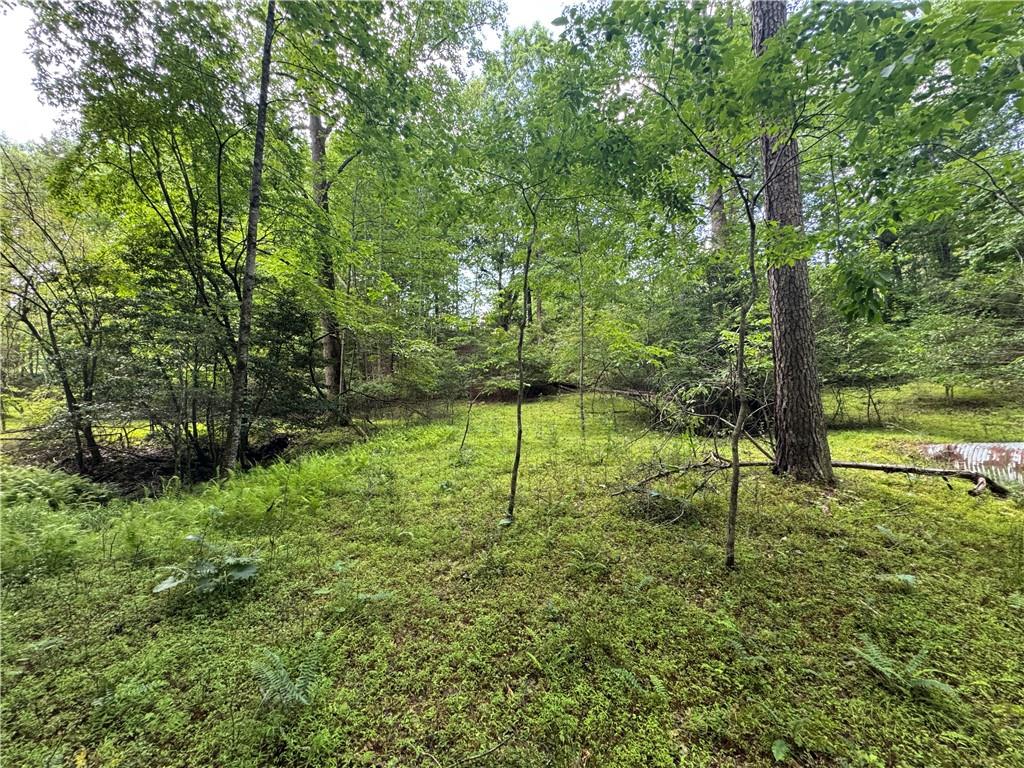 3.5-ac Ben Higgins Road Dahlonega, GA 30533 - Photo 4 of 21