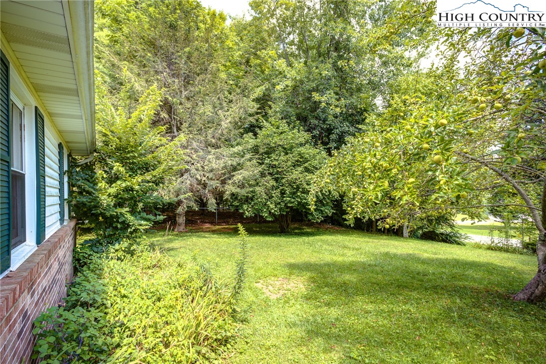 296 Hardaman Circle Boone, NC 28607 - Photo 19 of 27 Gallery Image 19