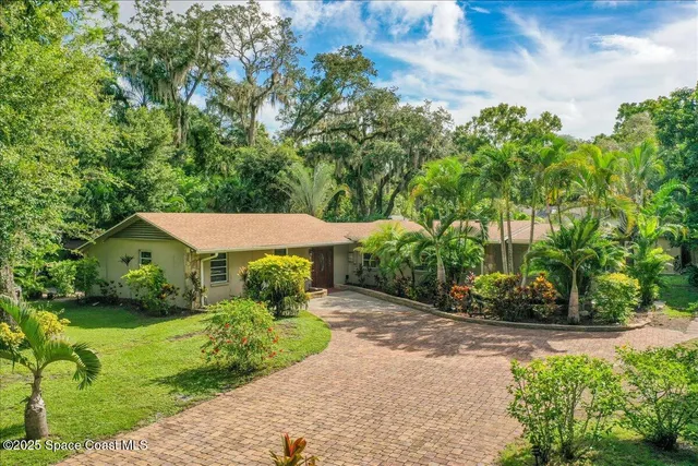 a view of a garden with potted plants