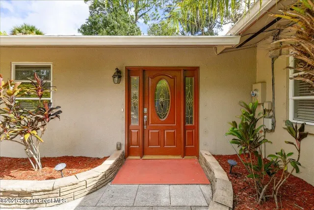 a view of a backyard with plants and large trees