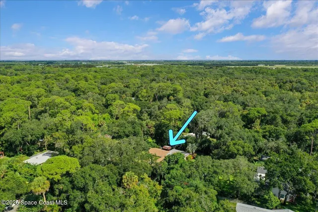 a view of a yard with a swimming pool