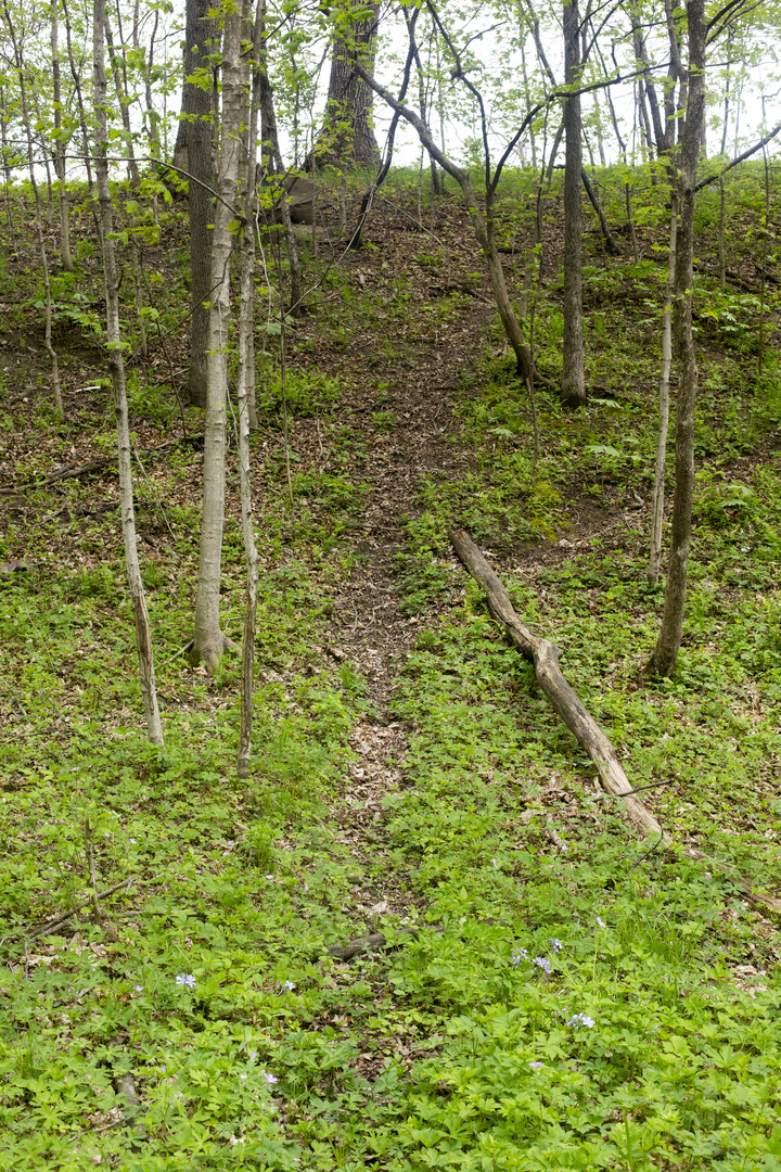 Lot 1 Harold Point Road Wapella, IL 61777 - Photo 20 of 33