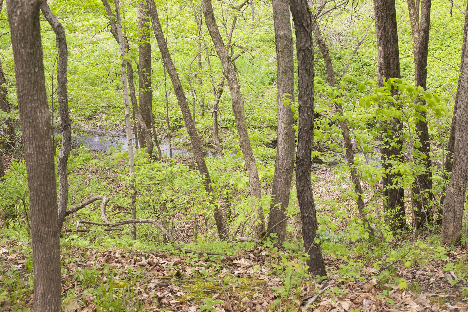 Lot 1 Harold Point Road Wapella, IL 61777 - Photo 22 of 33