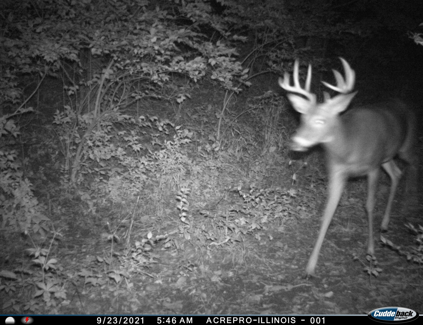 Lot 1 Harold Point Road Wapella, IL 61777 - Photo 29 of 33
