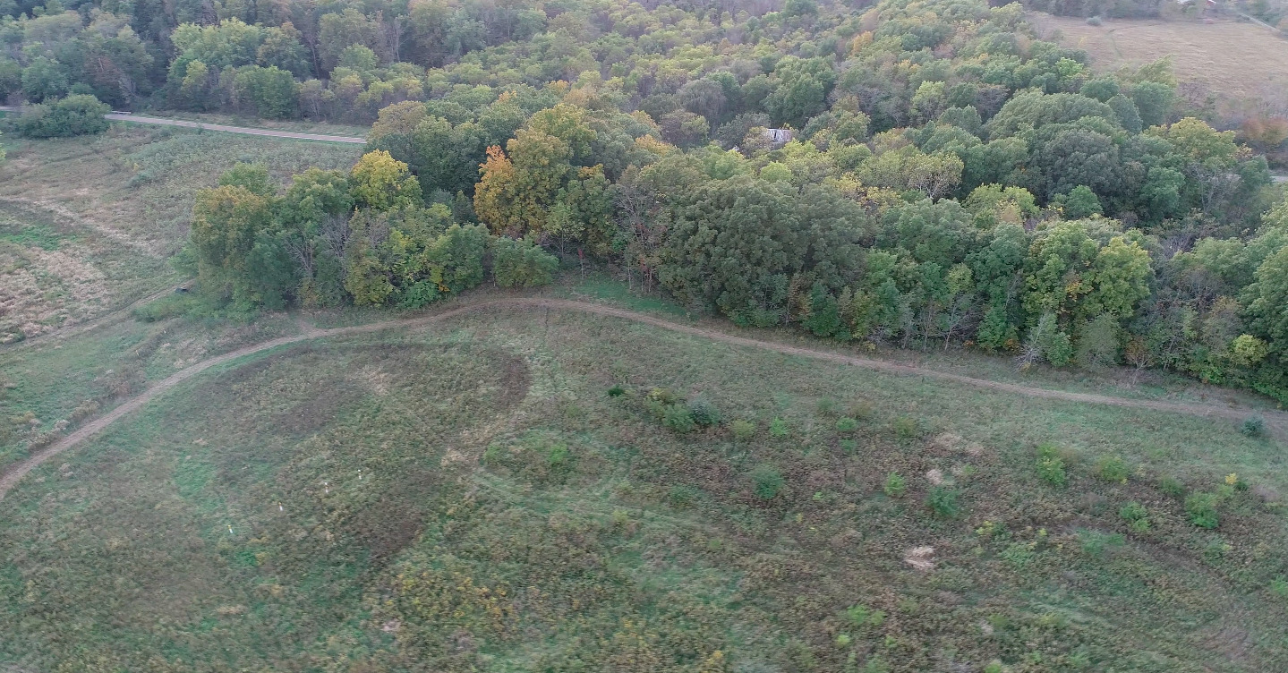 Lot 1 Harold Point Road Wapella, IL 61777 - Photo 5 of 33 a view of a field with trees in the background