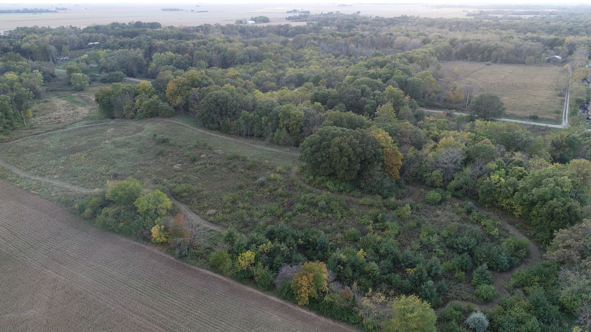 Lot 1 Harold Point Road Wapella, IL 61777 - Photo 6 of 33 a view of a forest with a street