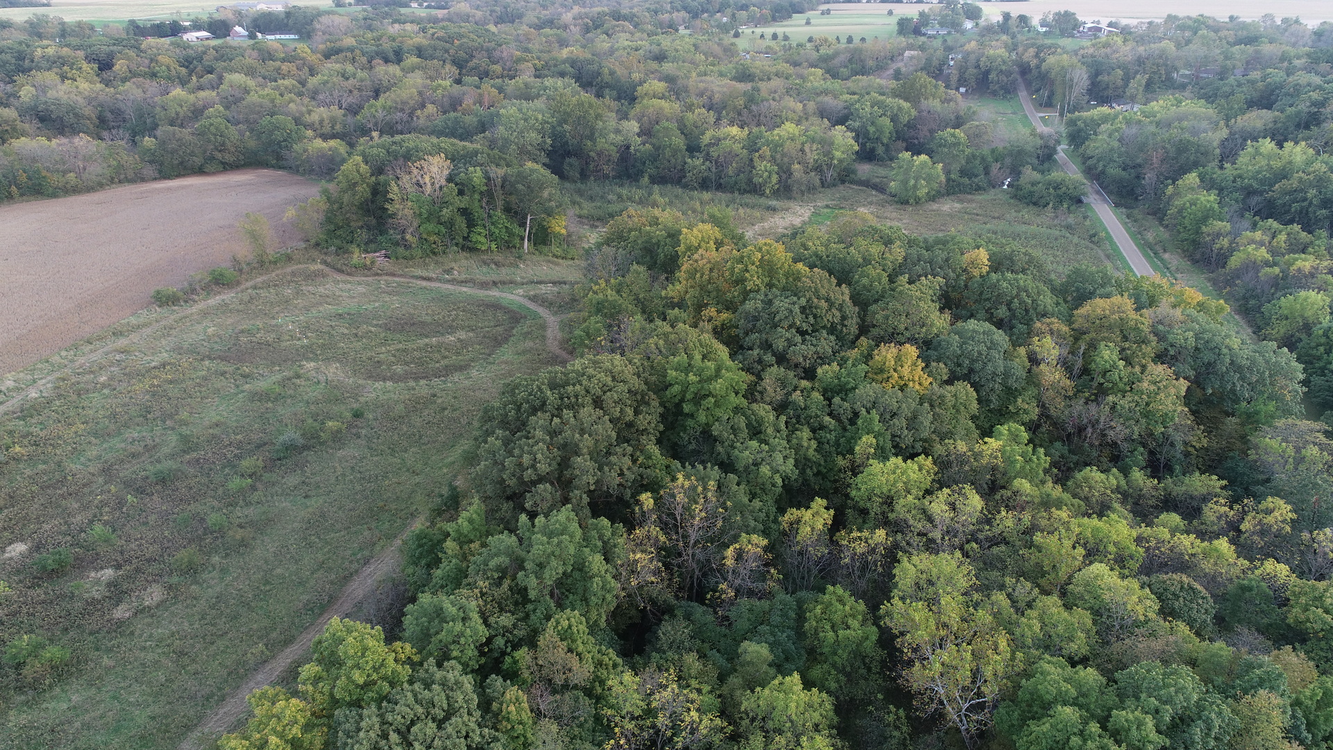 Lot 1 Harold Point Road Wapella, IL 61777 - Photo 7 of 33 an aerial view of forest