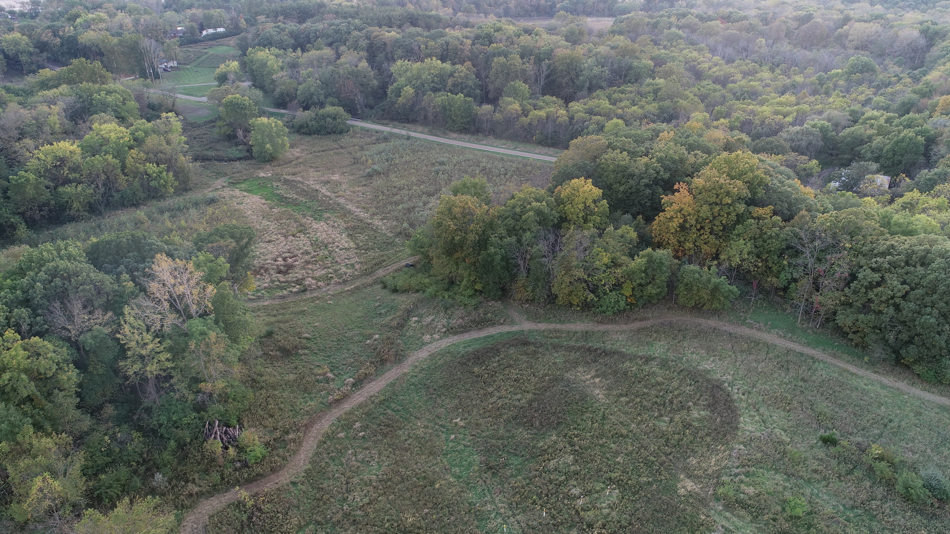Lot 1 Harold Point Road Wapella, IL 61777 - Photo 8 of 33 a view of a dry yard with lots of green space and deers