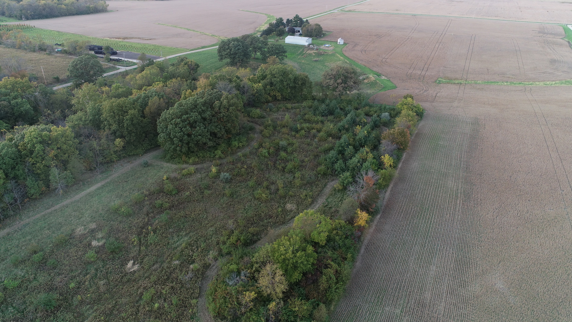 Lot 1 Harold Point Road Wapella, IL 61777 - Photo 9 of 33 a view of a yard