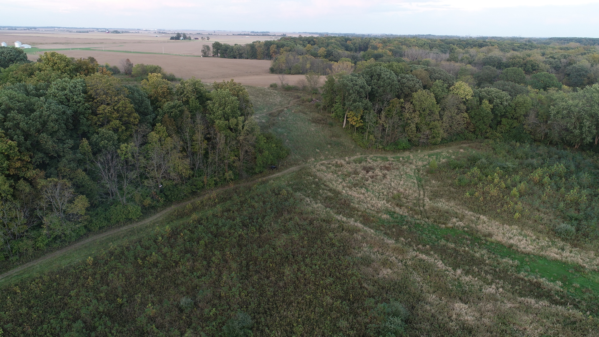 Lot 1 Harold Point Road Wapella, IL 61777 - Photo 10 of 33 a view of a field with an ocean and trees in the background