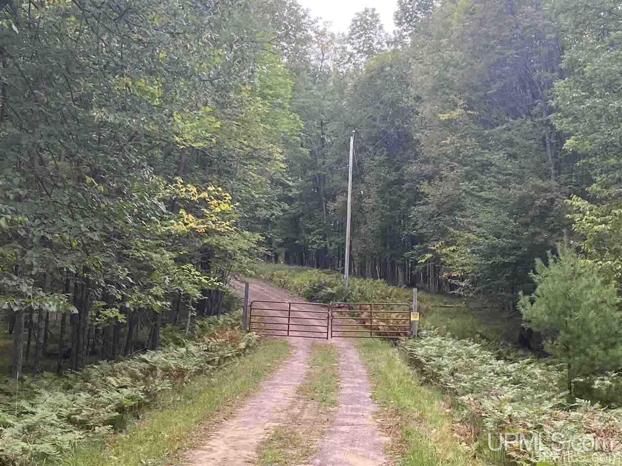 Tbd Tbd Grace Lake Road Watersmeet, MI 49969 - Photo 13 of 16