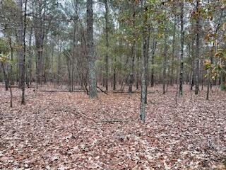 7.8-acres Deer Stand Road Wagener, SC 29164 - Photo 12 of 14