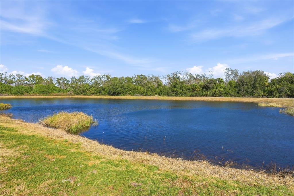 282 27th Street Southeast Ruskin, FL 33570 - Photo 31 of 34