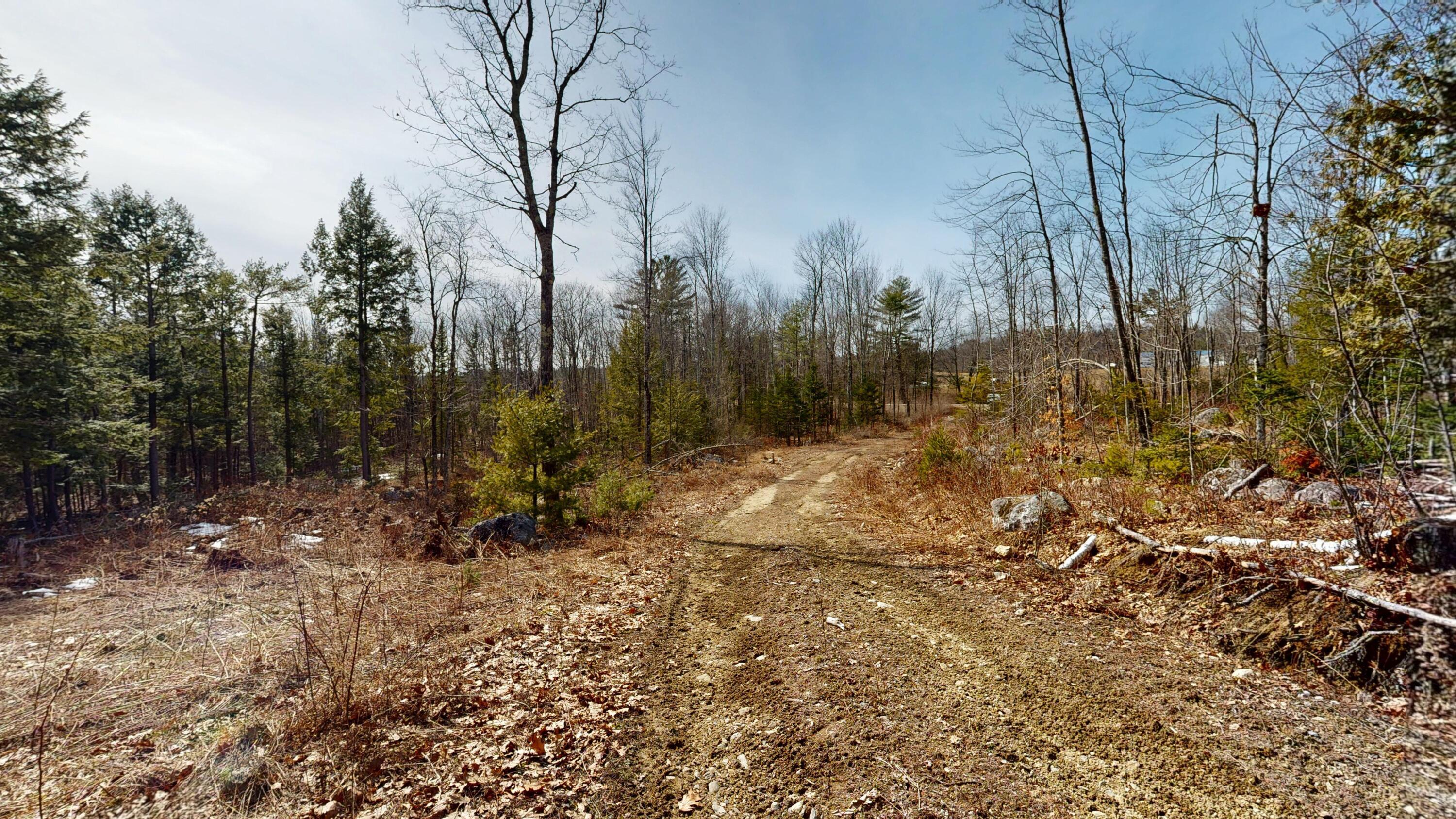 Lot 13 Wiley Road Greene, ME 04236 - Photo 7 of 9 Wiley-Road-Land-03312026_102008