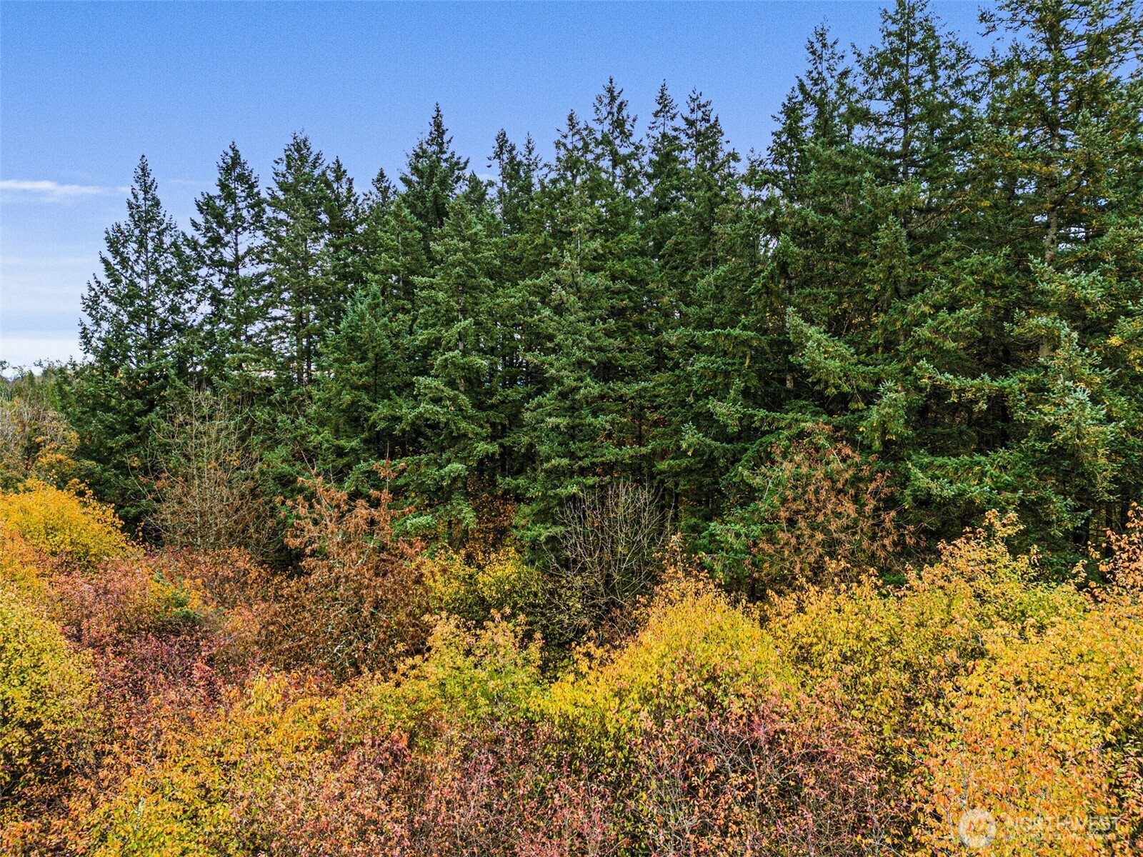 X Oyler Road Toledo, WA 98591 - Photo 6 of 24