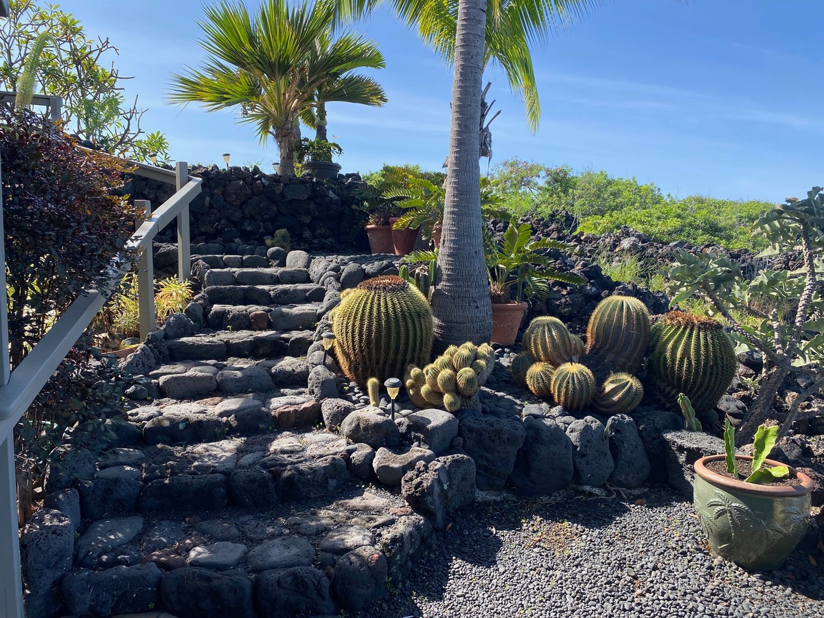 87-3165 Mapuna Road Captain Cook, HI 96704 - Photo 10 of 30 Gallery Image 10