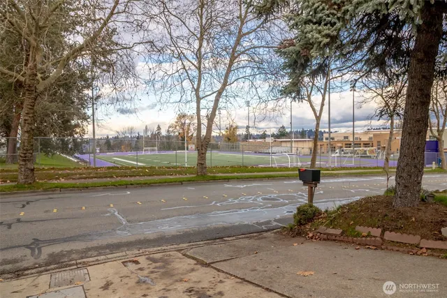 a view of a park with tree s