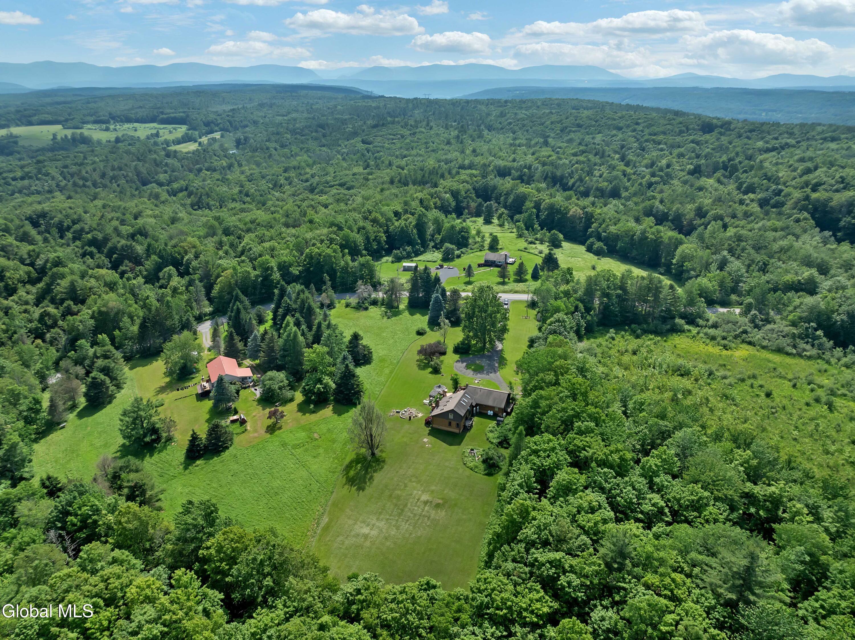 1170 Bull Hill Road Gilboa, NY 12076 - Photo 48 of 61 47-DJI_0500