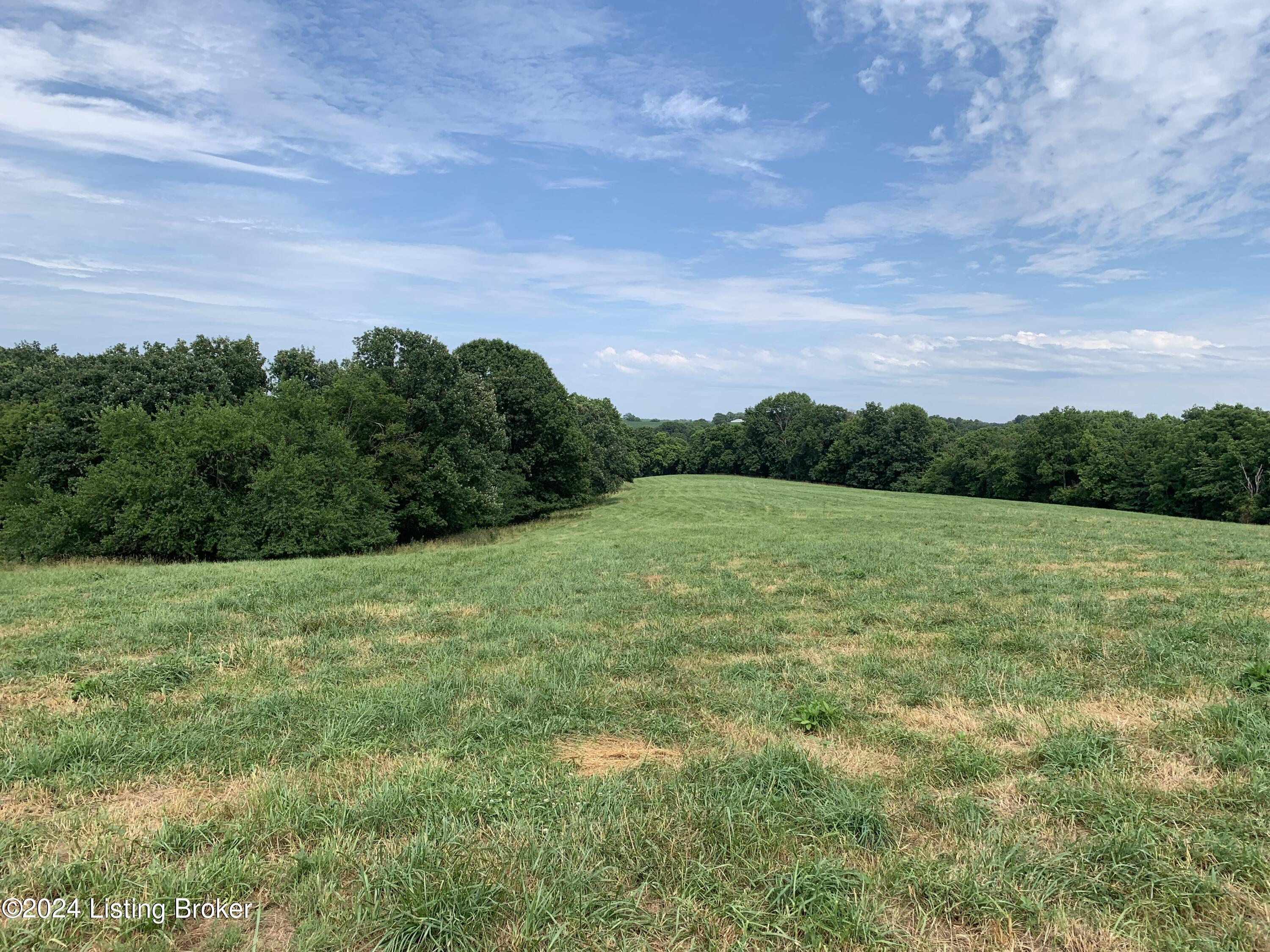 3 Colonel Cox Road North Coxs Creek, KY 40013 - Photo 2 of 2 Tract#3