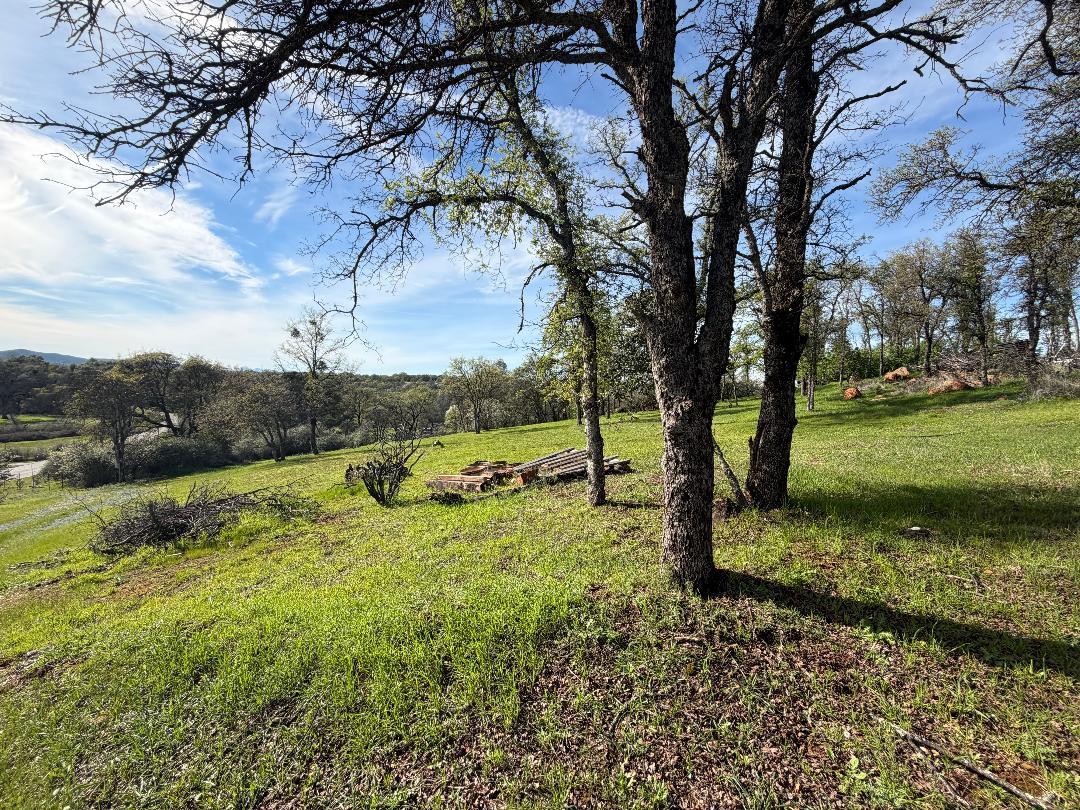 11845 Kimberly Road Loma Rica, CA 95901 - Photo 8 of 19 Gallery Image 8